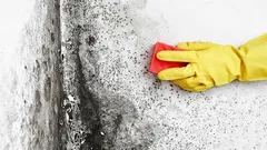 Plíseň i houby zmizí beze stopy – stačí ingredience, které má doma každý