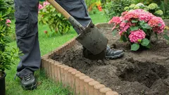 Zasadíte a zapomenete: keře, které vypadají luxusněji než růže a nevyžadují neustálou péči