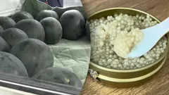 Nejdražší jídlo na světě: Za co milionáři skutečně platí