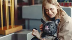 Chlupatý psycholog: S jakými problémy pomáhá vyrovnat se pes?