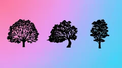 Psychologický test, který ukáže, co na sobě změnit: Vyberte si jeden ze stromů