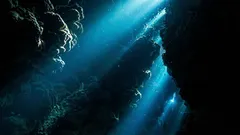 Americké námořnictvo objevilo v oceánu zvláštní zvuk: Vědci odhadují, kdo ho mohl vydávat