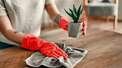 Proto v japonských domech nikdy není prach — tato metoda úklidu je překvapivě jednoduchá