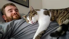Kočky spí na svých majitelích nejen z lásky: Skutečný důvod vás může překvapit