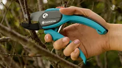 Zahrada bez starostí: Jak vybrat správné zahradní nůžky?